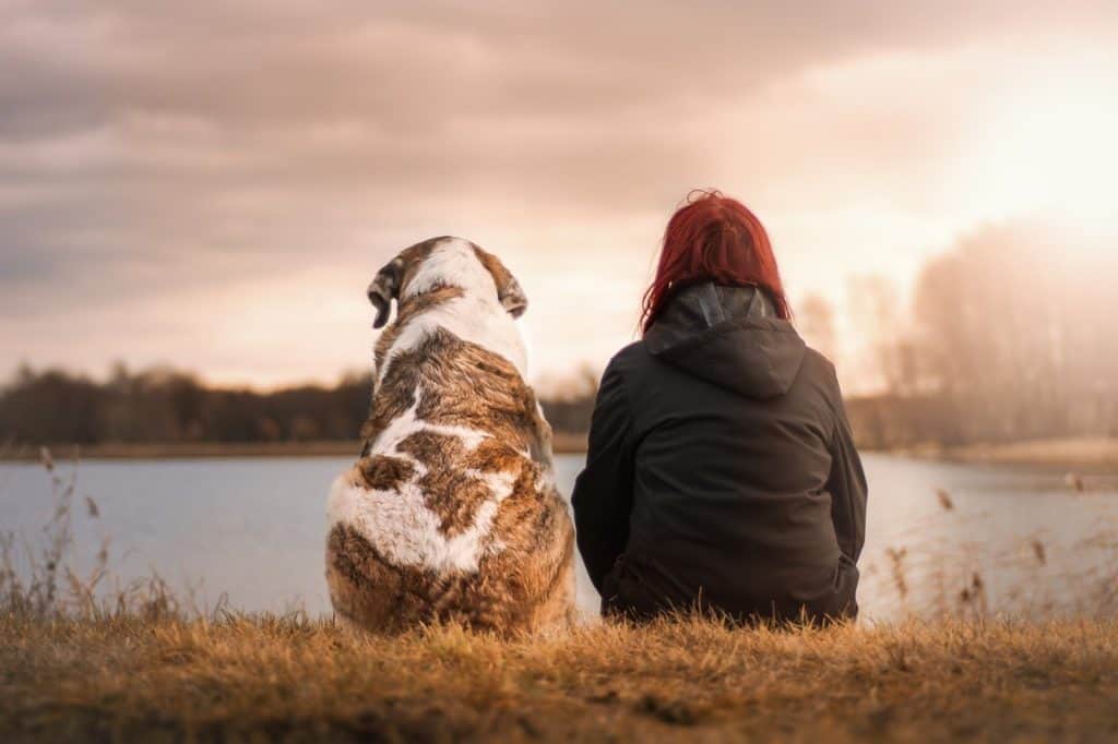 אישה וכלב
